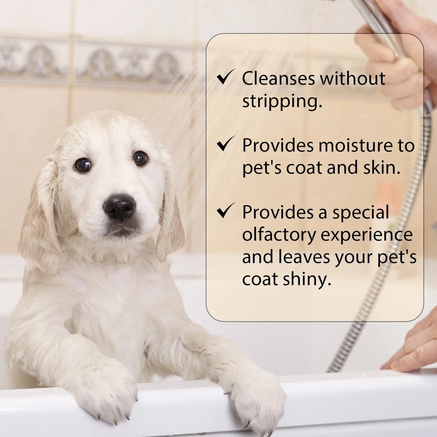 300ml Pet Shampoo Dog Shampoo And Coat Wash For Hydrating Cleansing And Adding To Pet Hair