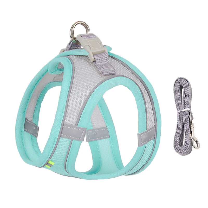 FLORA Small Dog Harness