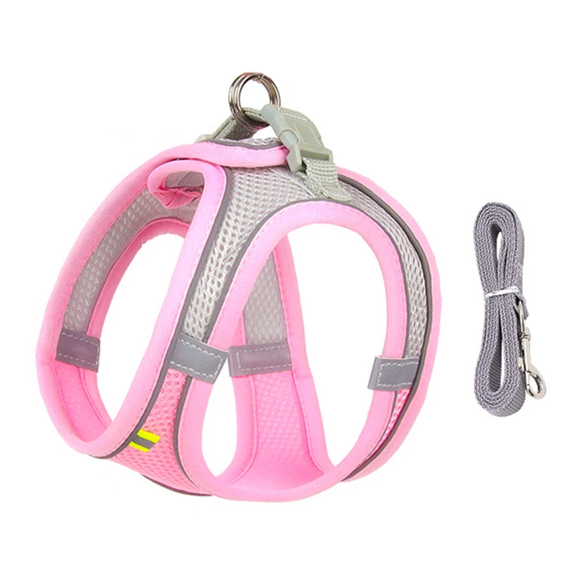 FLORA Small Dog Harness