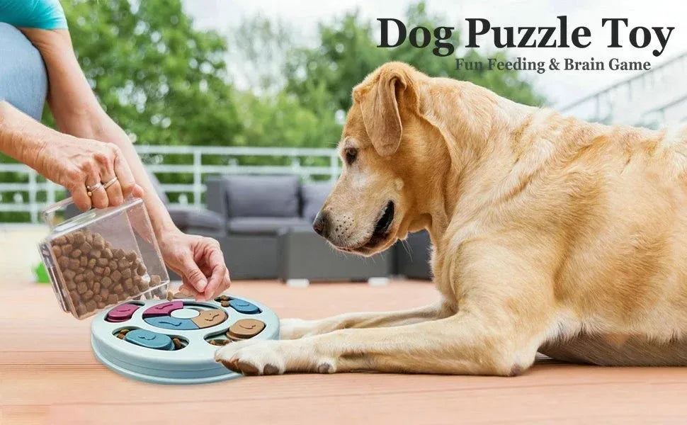 PITTY Dog Puzzle Toys