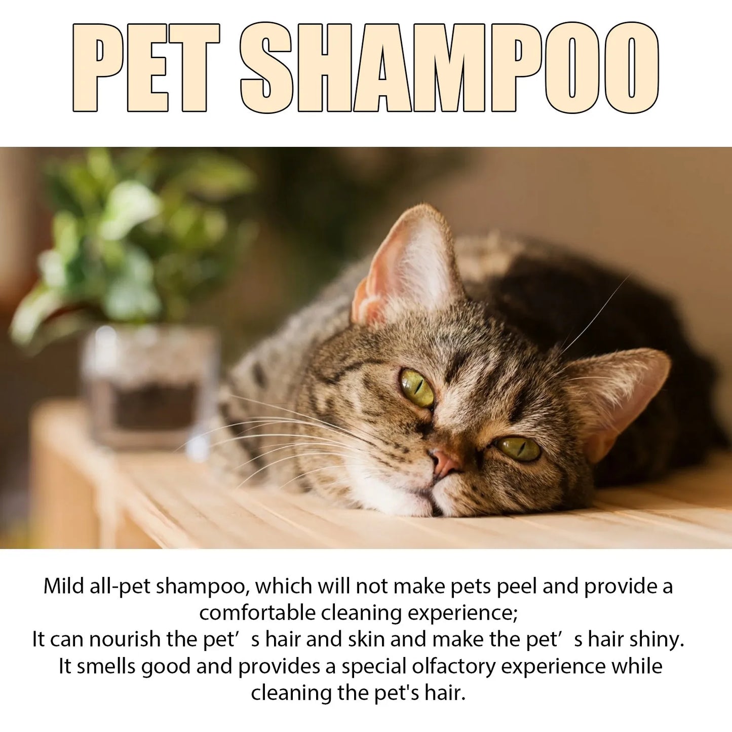 300ml Pet Shampoo Dog Shampoo And Coat Wash For Hydrating Cleansing And Adding To Pet Hair