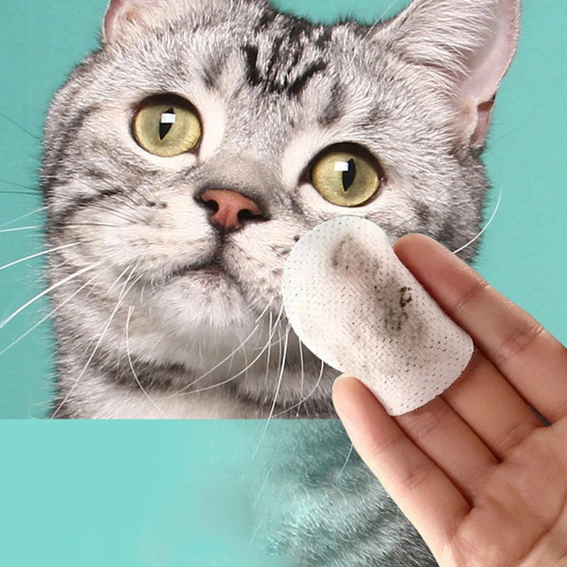 PITTY  Eye Wipes Cats And Dogs Tear mark Wet Wipes Cats And Dogs