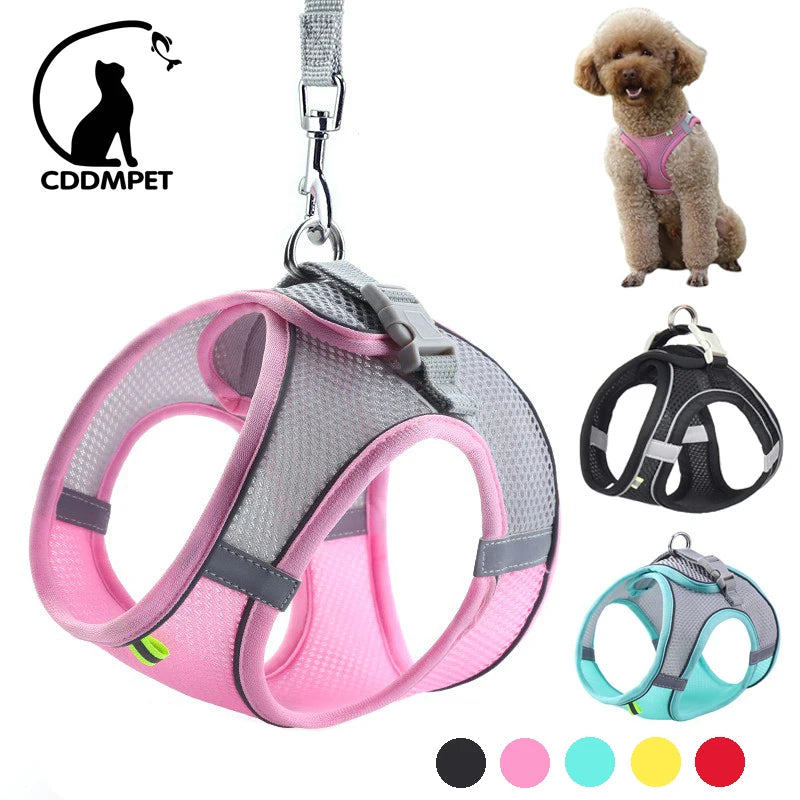 FLORA Small Dog Harness