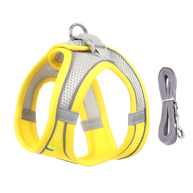 FLORA Small Dog Harness